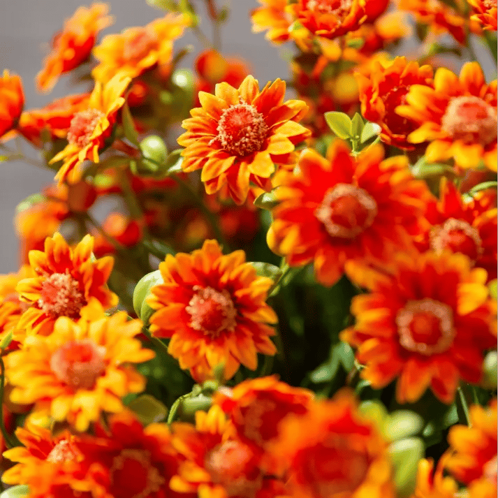 đ„Sista dagen! Endast 39 SEK styck â Konstgjorda utomhusblommor "Sunset Mums" â UV-bestĂ€ndiga, vattentĂ€ta och vindresistenta