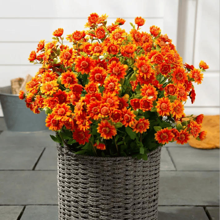 đ„Sista dagen! Endast 39 SEK styck â Konstgjorda utomhusblommor "Sunset Mums" â UV-bestĂ€ndiga, vattentĂ€ta och vindresistenta