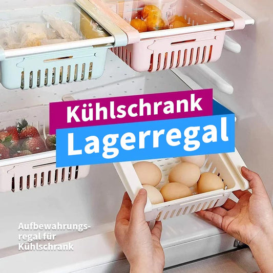 Förvaringshylla för kylskåp
