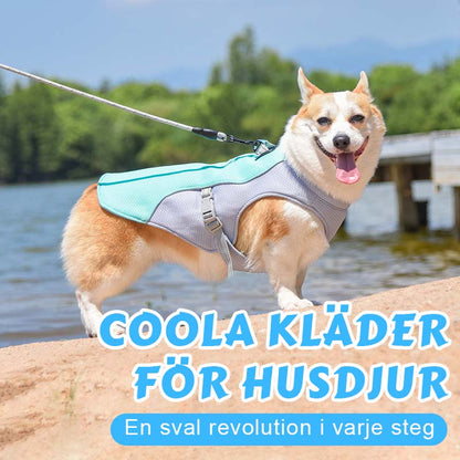 Coola Kläder För Husdjur